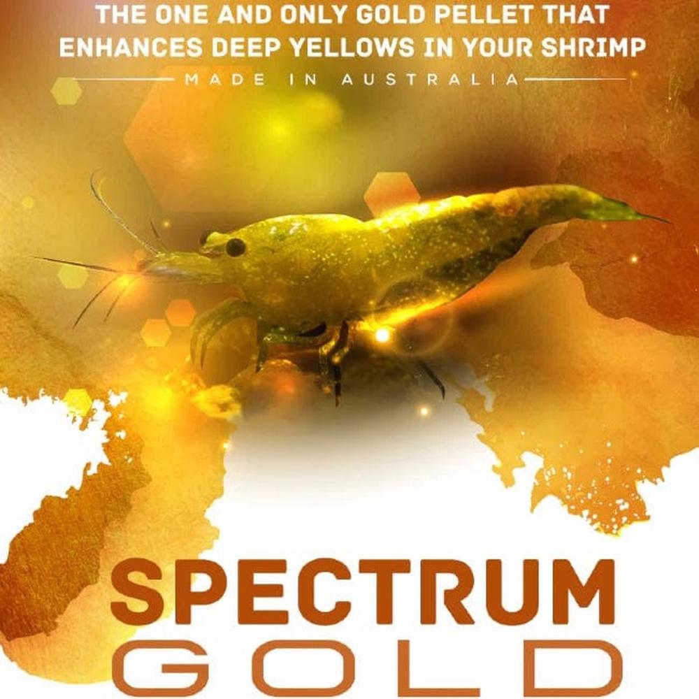 SAS Spectrum Gold 30g premium yellow shrimp food